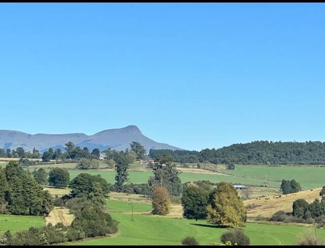 LAND FOR SALE IN DARGLE